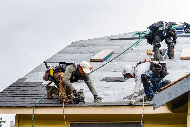 Professional Gutter Installation technician working in Dania, FL